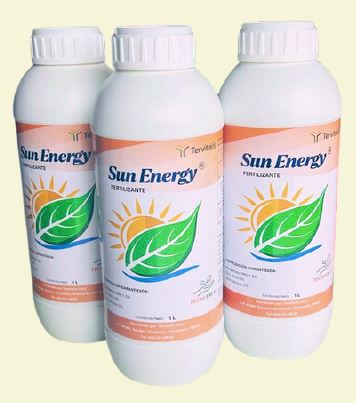 SUN ENERGY